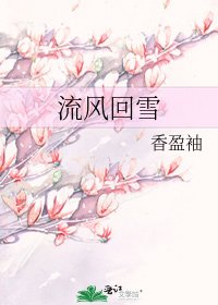 流风回雪